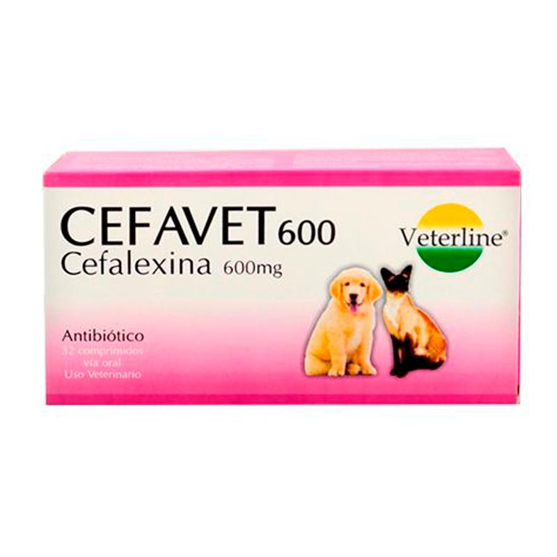 CEFAVET 600
