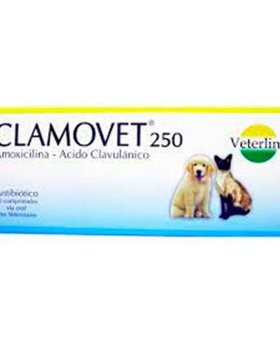 CLAMOVET 250 MG