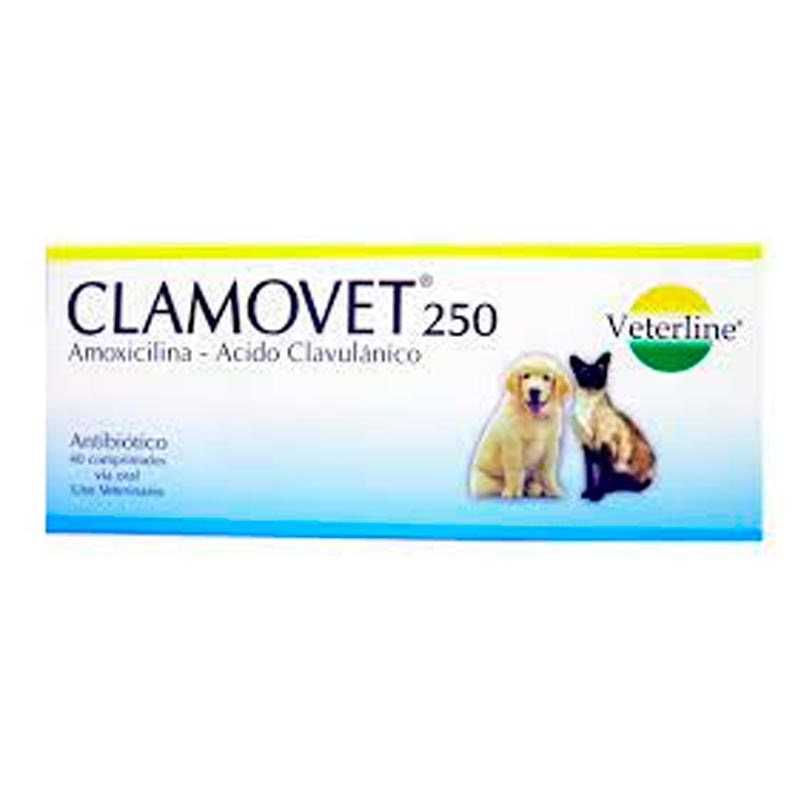 CLAMOVET 250 MG